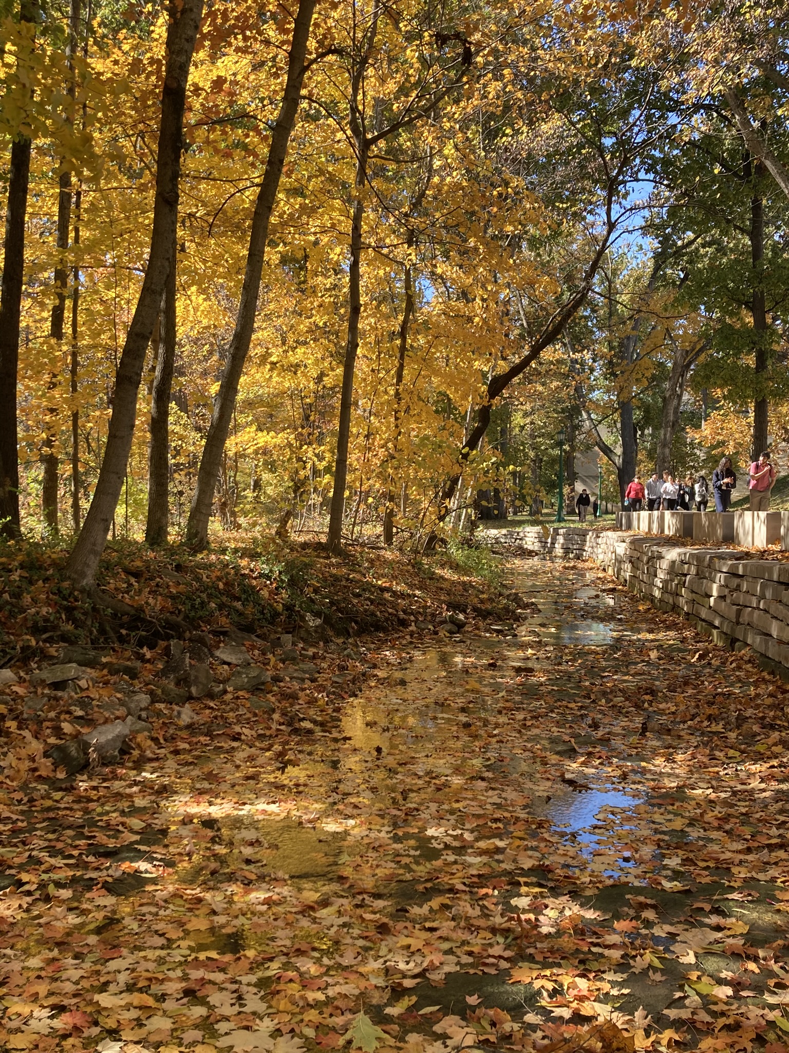 Fall beauty on Indiana University Bloomington